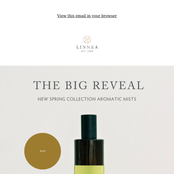 The Big Reveal: New Spring Aromatic Mists