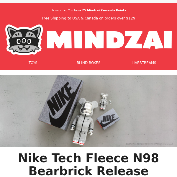 Nike Tech Fleece N98 Bearbrick