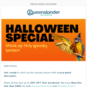 🎃 This isn't a trick! Treat your bird with this Halloween Special
