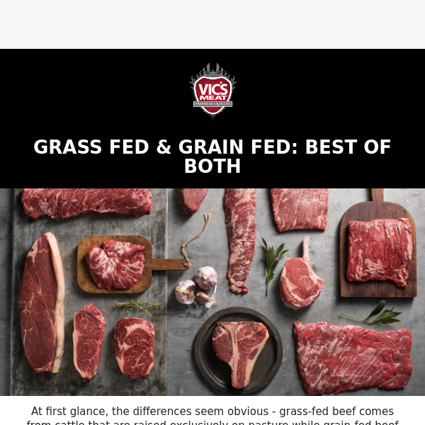 🍃🌾What's the Difference: Grass Fed & Grain Fed Beef