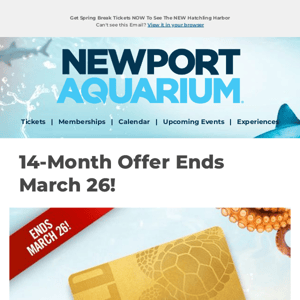 HURRY! 2 Extra Months FREE Offer Ends This Sunday, March 26!