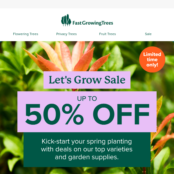Let’s grow! Up to 50% off