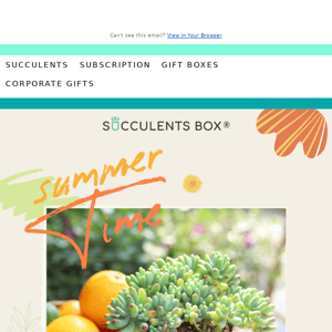 Get Growing - Save 15% on Summer Plants!