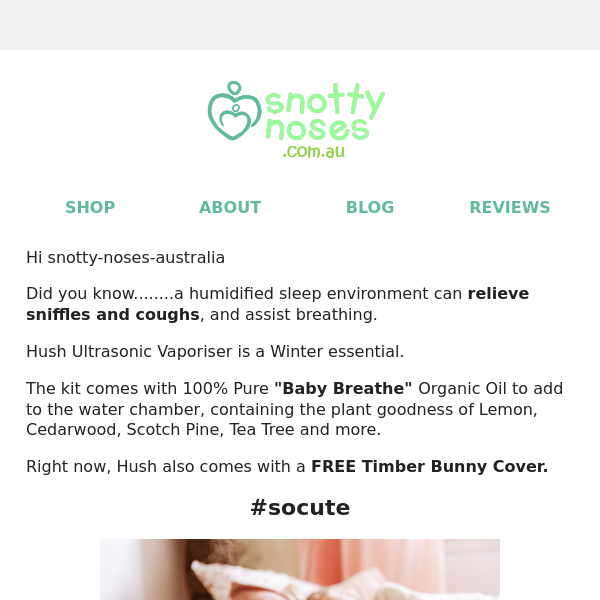 🟢 It's Back - FREE Timber Bunny Cover with Hush