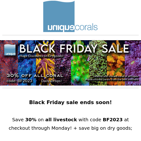 Black Friday sale ends soon ! Save 30% on all coral + deep drygood discounts on www.uniquecorals.com  ﻿ ﻿ 　　