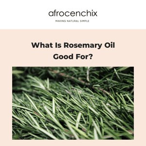 What is Rosemary Oil Good For?