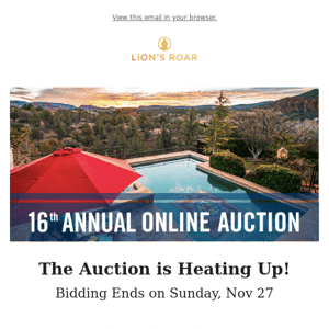 Last Week to Bid in our Online Auction!