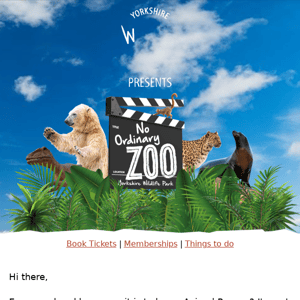 YWP presents No Ordinary Zoo 🎬