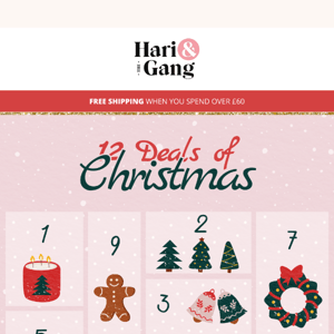 On the twelfth day of Christmas, Hari and the Gang sent to me…