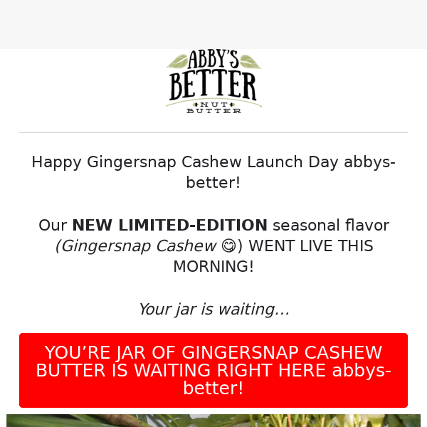 🎄New Limited Edition: Gingersnap Cashew Butter!🎄