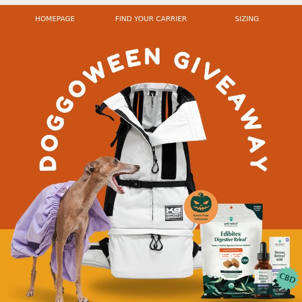 Doggoween Giveaway: Win $500 in Prizes!