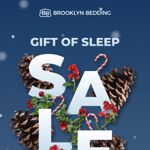 Give the Gift of Sleep this holiday season