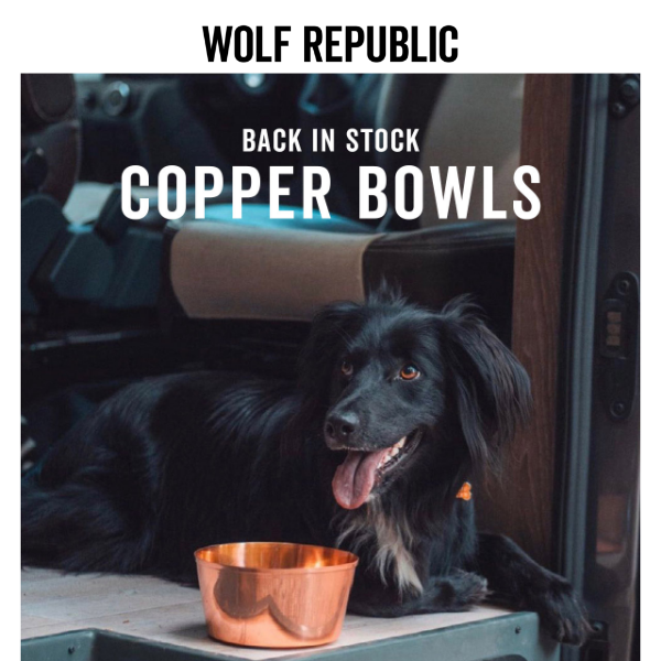 BACK IN STOCK: Bestselling Copper Dog Bowl