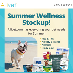 Stock Up On Pet Supplies During Our Summer Wellness Sale
