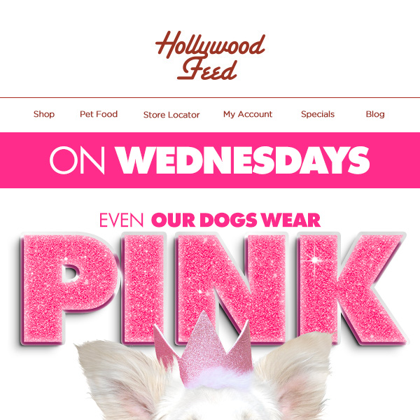 🩷 On Wednesdays, Even Our Dogs Wear Pink! 🩷