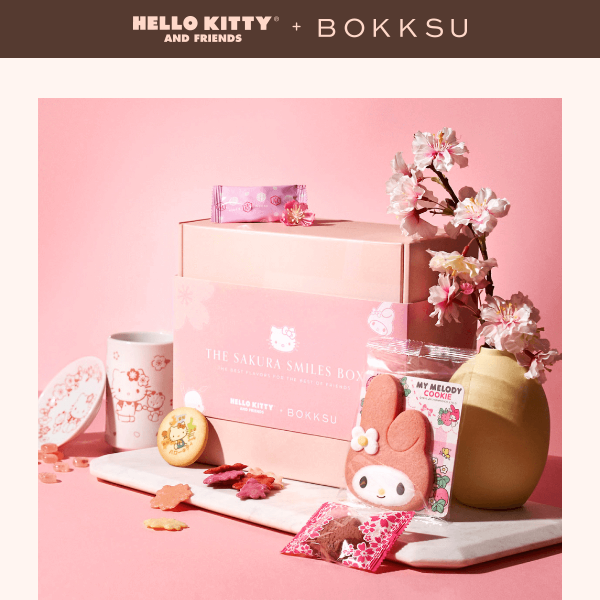 Official Hello Kitty and Friends x Bokksu Collab