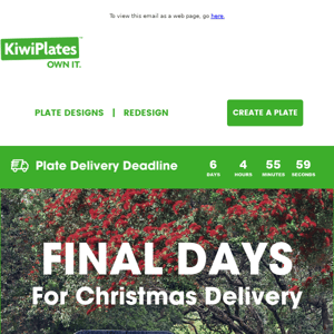 LAST CHANCE for Christmas Orders