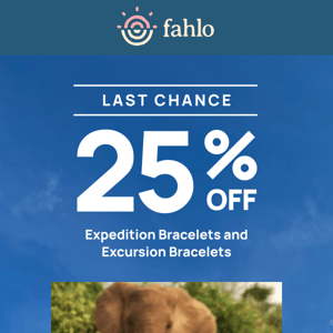 Last Chance! 25% OFF Excursion & Expedition Bracelets