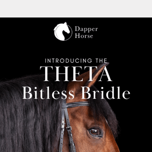 Introducing the Bitless Bridle from Schockemohle 🐴