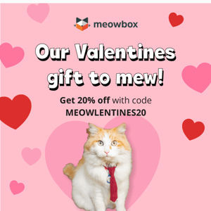 Our Valentine’s sale is on meow 😻