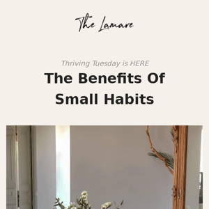 Thriving Tuesday ✨ The Benefits Of Small Habits