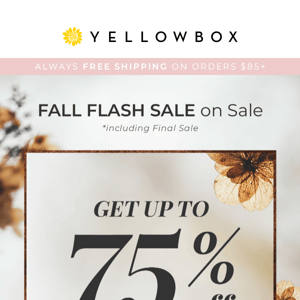 🚨STARTS TODAY 🚨 FALL FLASH SALE on Sale!