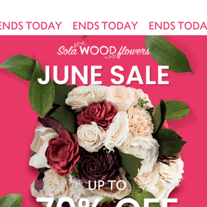 June Sale - Up To 70% Off Last Chance To Save 🚨