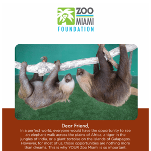 Help us shape the future of Zoo Miami