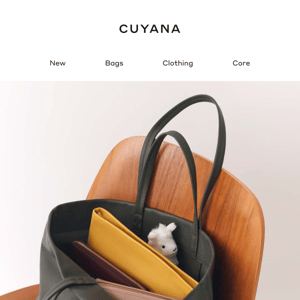 Concertina Phone Bag – Cuyana