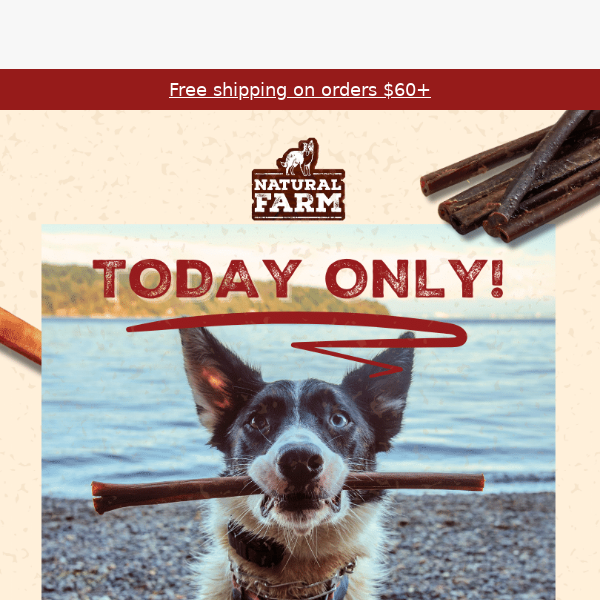 20% Flash SALE for National Mutt Day!
