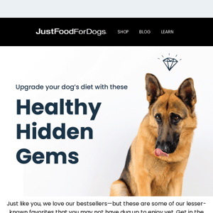 🐶 Your Pup Will Love These Hidden Gems 💎