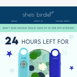 24 Hours Left For Priority Shipping! 📣