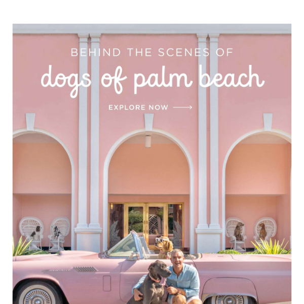 Behind the Scenes: Dogs of Palm Beach