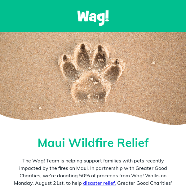 Maui Wildfire Relief 🌺