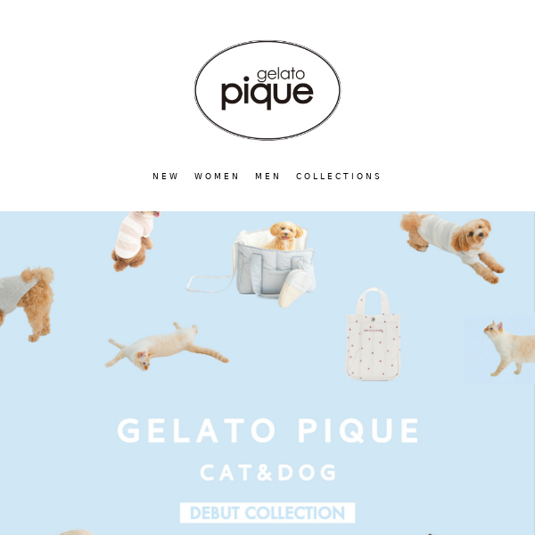 Gelato Pique Cat🐈&Dog🐕 Debut Collection🎉 - Gelato Pique