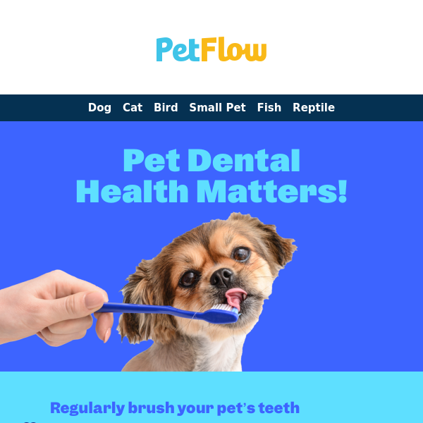 Don’t brush off your pet’s dental health!