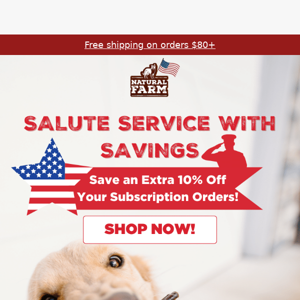 Extra 10% Off Subscription on Veterans Day!