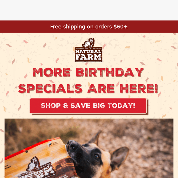 NF Birthday Bash: Extra 10% Off Auto-Shipping!