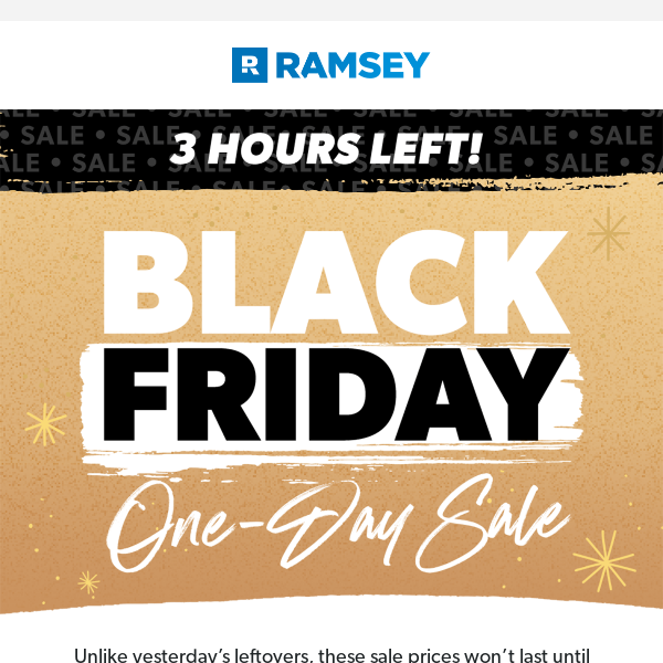 ⏰ 3 Hours Left--Black Friday 1-Day Sale