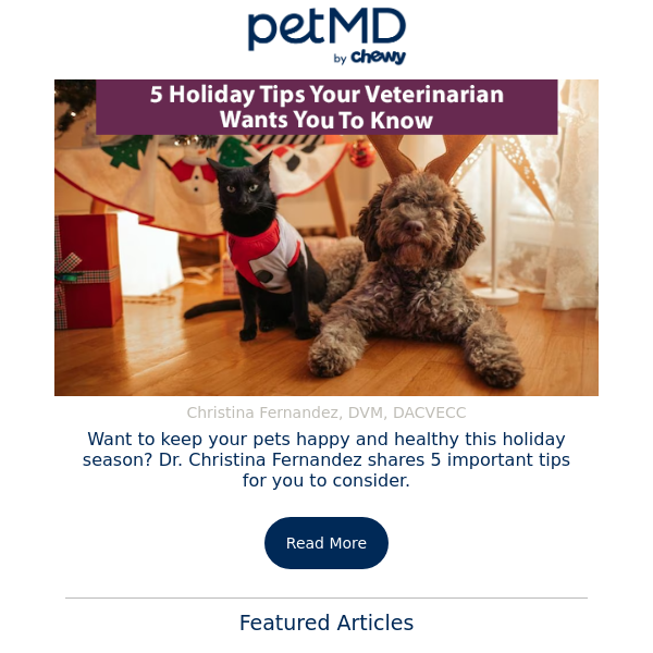 5 Holiday Tips Your Veterinarian Wants You To Know