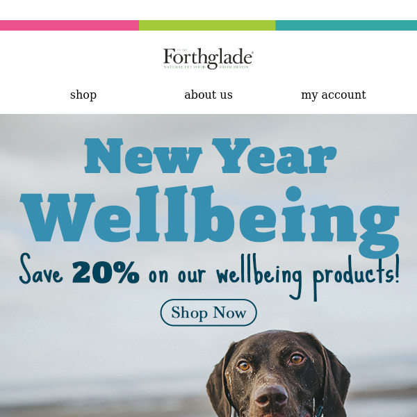 20% OFF wellbeing products 🐶