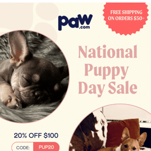 Our National Puppy Day Sale Is HERE!! 💙🐶