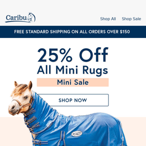 25% off all Mini Rugs + more