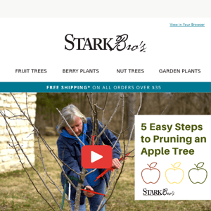 🍎🌳 How to Prune an Apple Tree in 5 Easy Steps