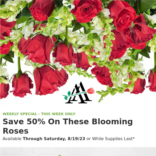 🌹 Snap Up Romance: 50% Off 10 Roses + 10 Snapdragons 🌹