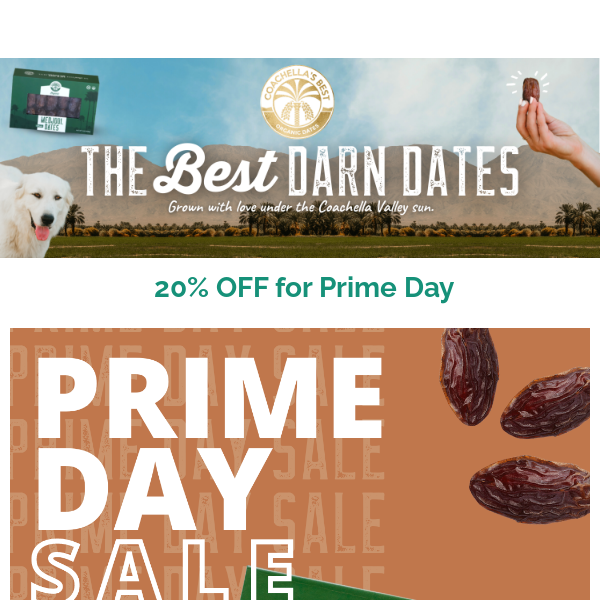 20% OFF for Prime Day 🛒