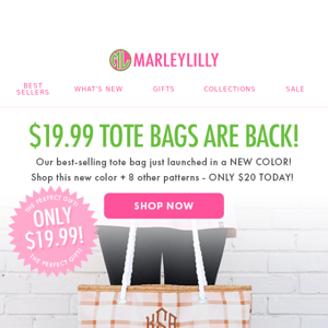 You’ve Unlocked 🔓 $19.99 Tote Bags