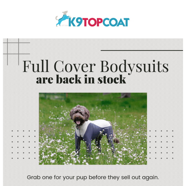 RESTOCKED: Our Full Covers Are Back! 🐶