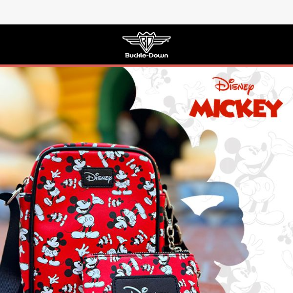 ✨Mickey Mouse 💫 Bag and Wallet Combo 🐭