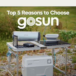 5 Reasons To GoSun